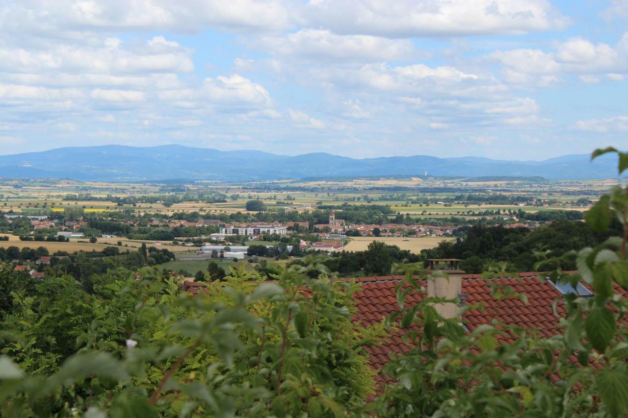 "Les Monnats" Gite 8 Personnes A La Campagne Chaptuzat Exterior foto